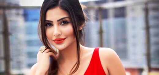 Sana Sultan Khan Wiki, Biography, Age, Date of Birth, Height, Weight, Figure, Boyfriend, Marital Status, Husband Name, Family, Children, Religion, Caste, Net Worth & More.